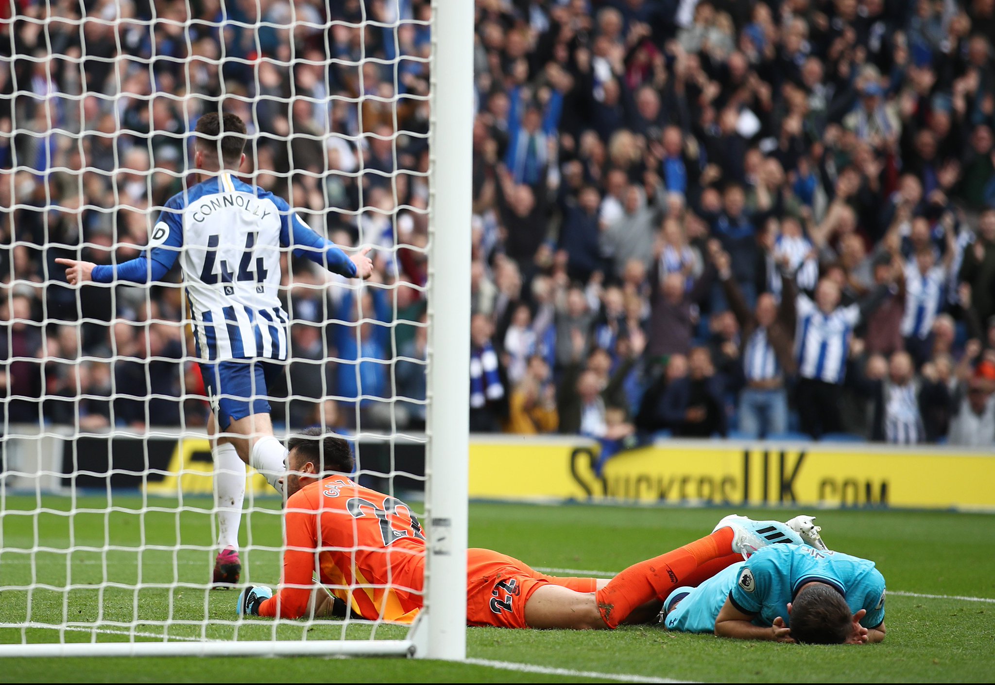 这种坚定的 这种坚定的